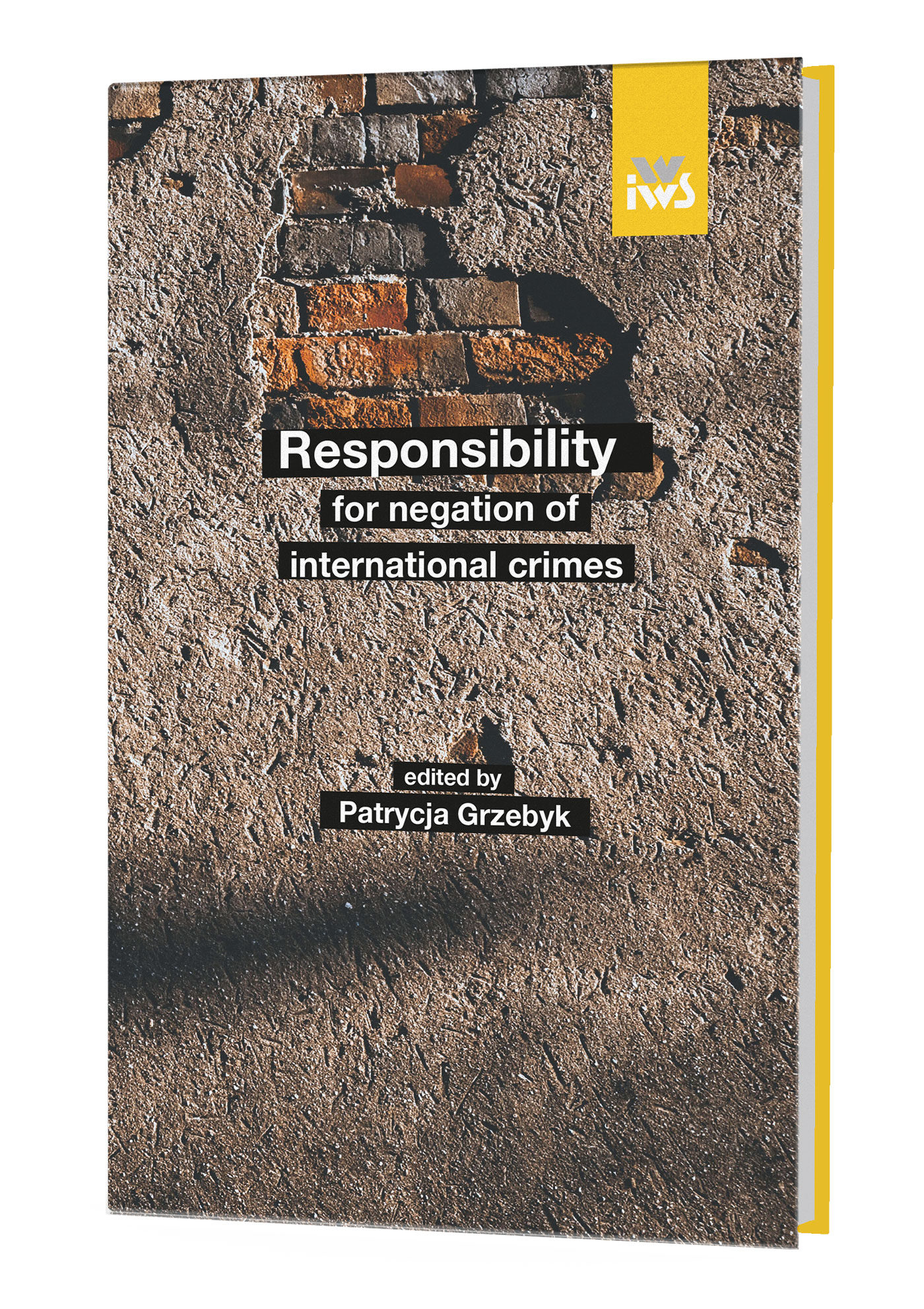 Responsibility for negation of international crimes